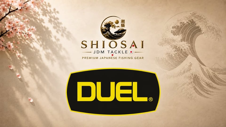 Duel
